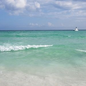 Meet your Posher, Audrey